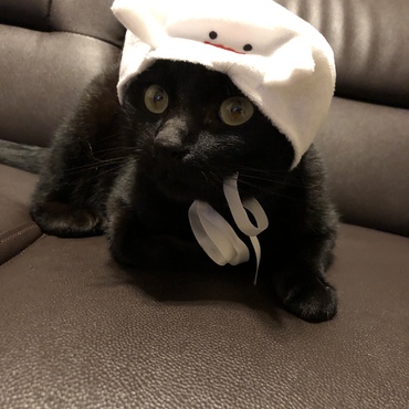 の写真