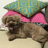 ボルト
