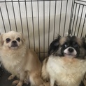 急募です。