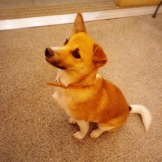 ありがとうございました