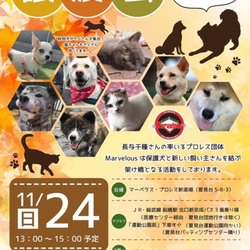 marvelous協賛譲渡会 サムネイル1