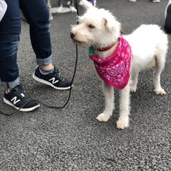 marvelous協賛譲渡会 サムネイル2