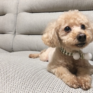 ご応募ありがとうございました！