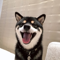 ツヨシ