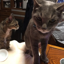 「平和だねー ♪(๑ᴖ◡ᴖ๑)♪」サムネイル1