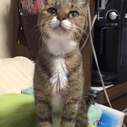 「平和だねー ♪(๑ᴖ◡ᴖ๑)♪」サムネイル2