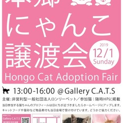 本郷じゃんこ譲渡会