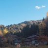kurage0420