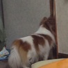 櫻井ちぃのん 