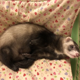 多数のご応募ありがとうございましたm(__)m