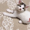 赤ちゃんのとき