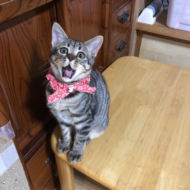 ヤバっ！