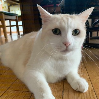 新しい家族と幸せに暮らしています！