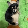 Erina★