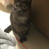 の写真