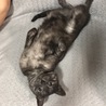の写真