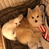 みづきてぃーさん