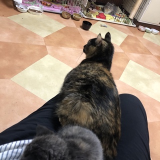 ご応募ありがとうございました