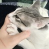 指のこの辺りをチュウチュウ吸いながら、前足でふみふみしてきます。お母さんが恋しいのかな。