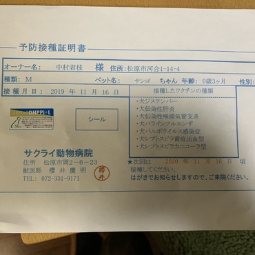 の写真