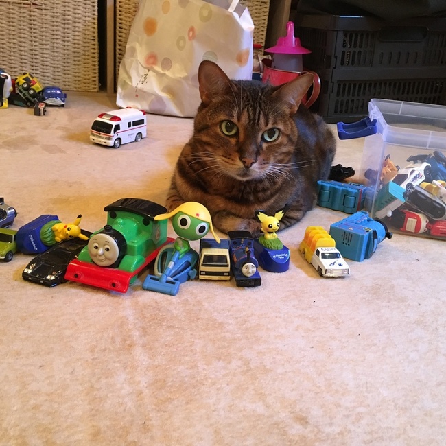 レオンのひげのカバー写真