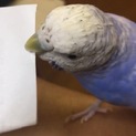 【たくさんのご応募ありがとうございました】