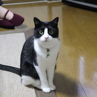 はじめ