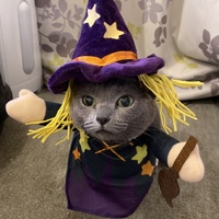 Zoe