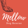 Mellow Dog Re...(保護活動者)