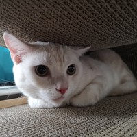 そら