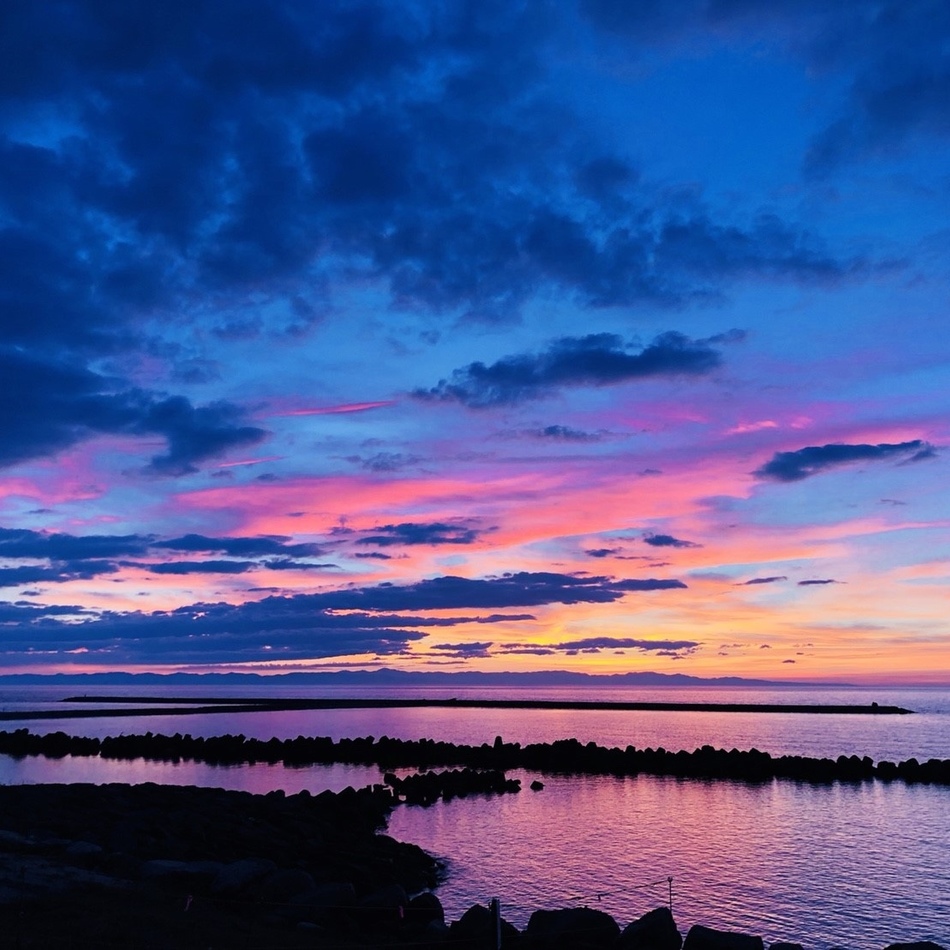 さくらのカバー写真