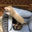 募集を終了させてもらいます。