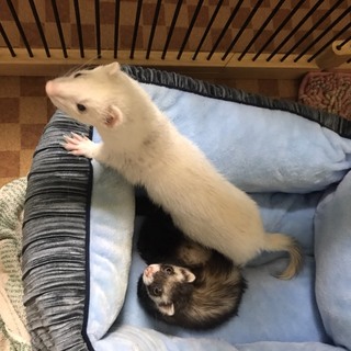 募集を終了させてもらいます。