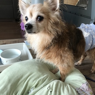 トライアルから出戻ってきました