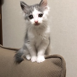 はじめての病院