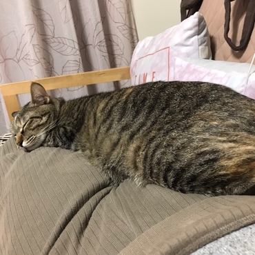 の写真