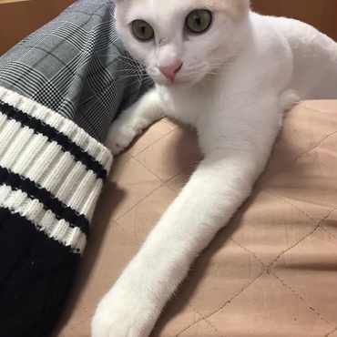 の写真