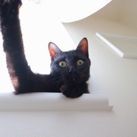 キキ