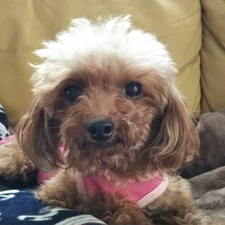 ありがとうございました☺️