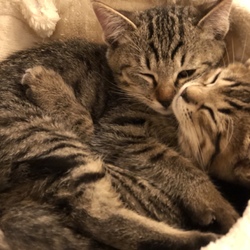 とっても仲良くなりました(﹡ˆ﹀ˆ﹡)♡