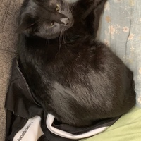 そおん