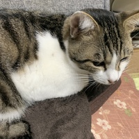 ゆぐる