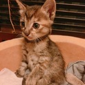 とってもやんちゃでかわいい女の子！