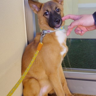 ◆ここから出して◆怖がりなんだもん！こつぶちゃん