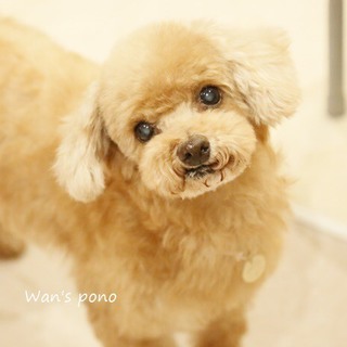 良いご縁に繋がりました。