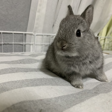 の写真