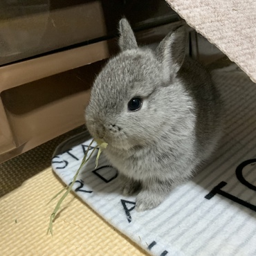 の写真