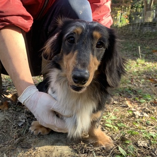 可愛い子です。