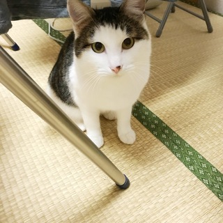 とにかく甘えっこな男の子（動画あり）※一部内容更新