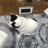 白黒　のんびりやさん　 サムネイル6
